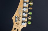Ibanez Limited Edition Steve Vai JEM 20th Anniversary-29.jpg